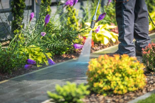 Professional Pressure Washing Services in Julian, CA