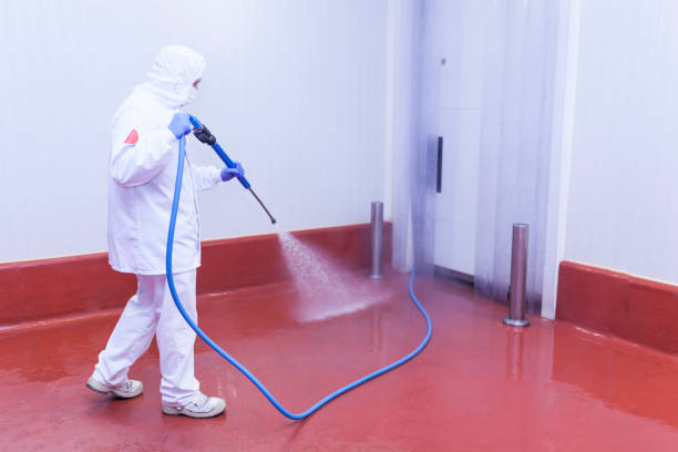 Best Warehouse Cleaning  in Julian, CA