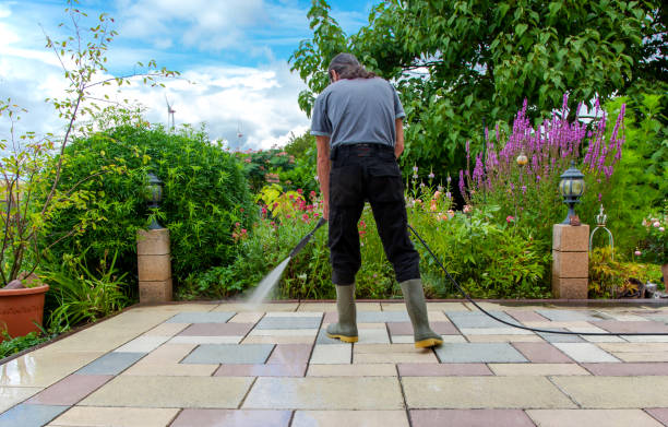 Best Spring Cleaning  in Julian, CA