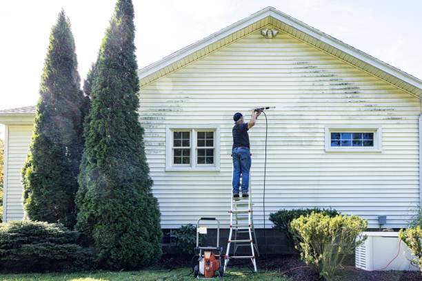 Best Patio and Deck Pressure Washing  in Julian, CA